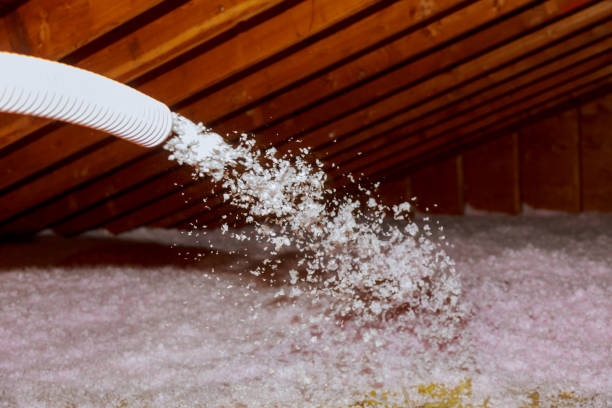 Best Attic Insulation Installation  in Selma, TX